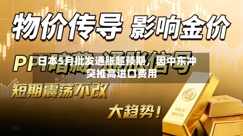 日本5月批发通胀超预期，因中东冲突推高进口费用