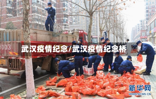 武汉疫情纪念/武汉疫情纪念桥