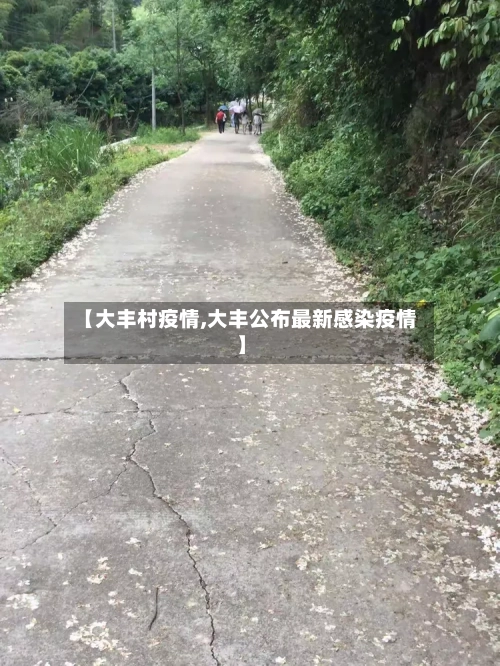 【大丰村疫情,大丰公布最新感染疫情】