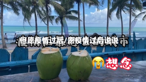 但愿疫情过后/愿疫情过后说说
