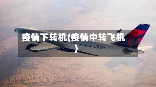 疫情下转机(疫情中转飞机)