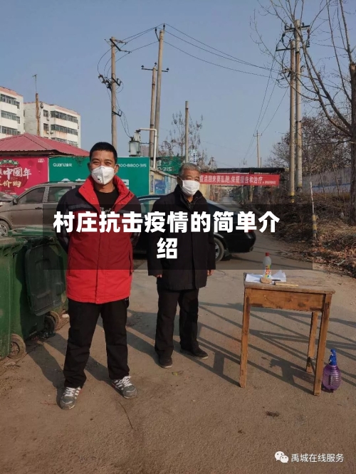 村庄抗击疫情的简单介绍