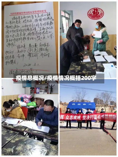 疫情总概况/疫情情况概括200字