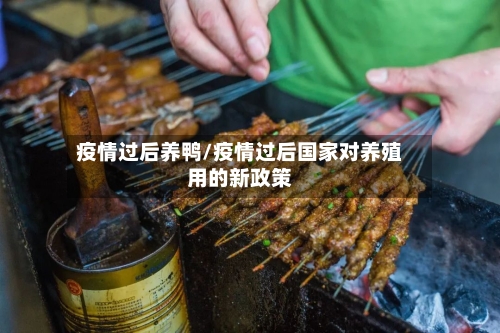 疫情过后养鸭/疫情过后国家对养殖用的新政策