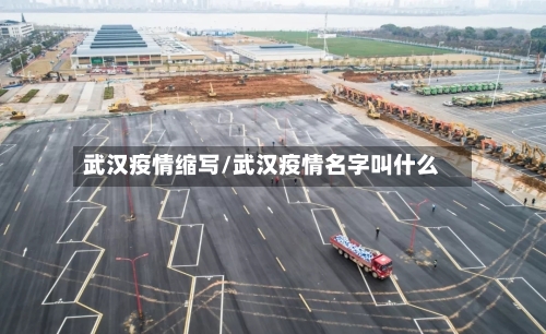 武汉疫情缩写/武汉疫情名字叫什么