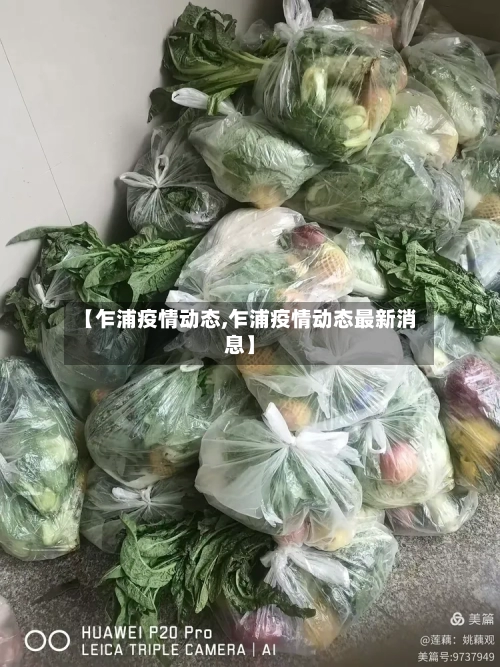 【乍浦疫情动态,乍浦疫情动态最新消息】