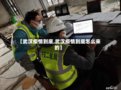 【武汉疫情到底,武汉疫情到底怎么来的】