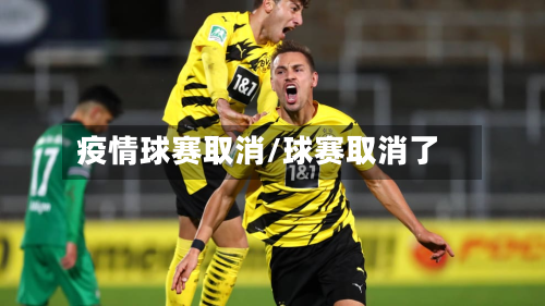 疫情球赛取消/球赛取消了