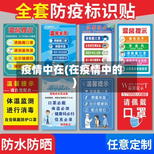 疫情中在(在疫情中的)