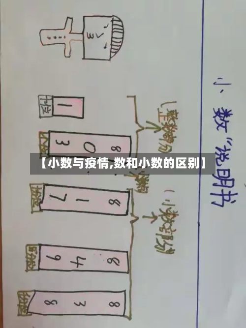 【小数与疫情,数和小数的区别】