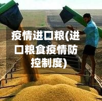 疫情进口粮(进口粮食疫情防控制度)