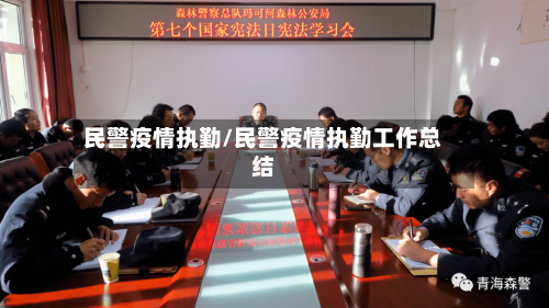 民警疫情执勤/民警疫情执勤工作总结