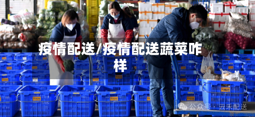 疫情配送/疫情配送蔬菜咋样
