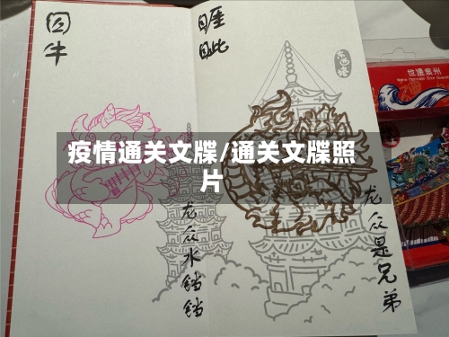 疫情通关文牒/通关文牒照片