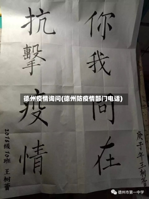 德州疫情询问(德州防疫情部门电话)