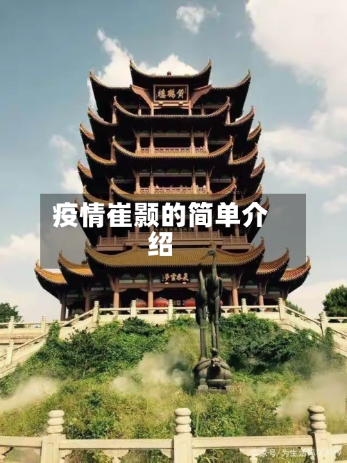 疫情崔颢的简单介绍