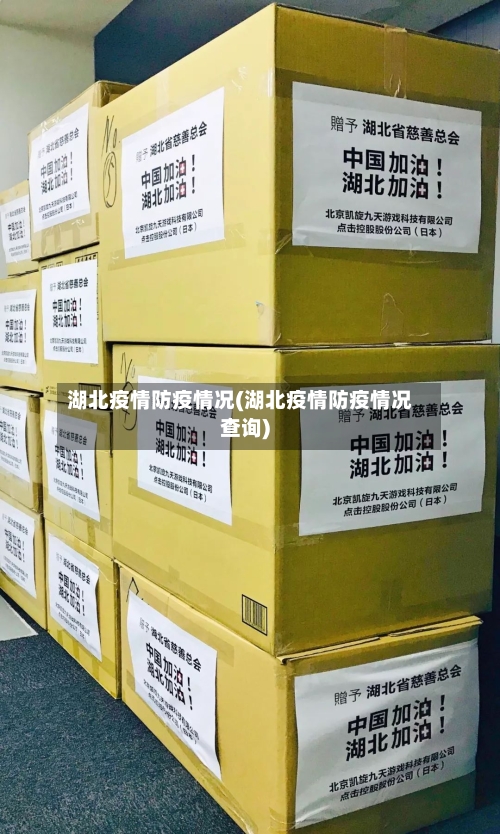 湖北疫情防疫情况(湖北疫情防疫情况查询)