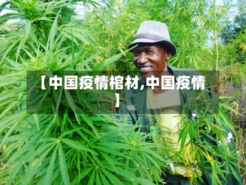 【中国疫情棺材,中国疫情】
