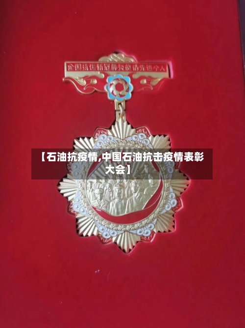 【石油抗疫情,中国石油抗击疫情表彰大会】