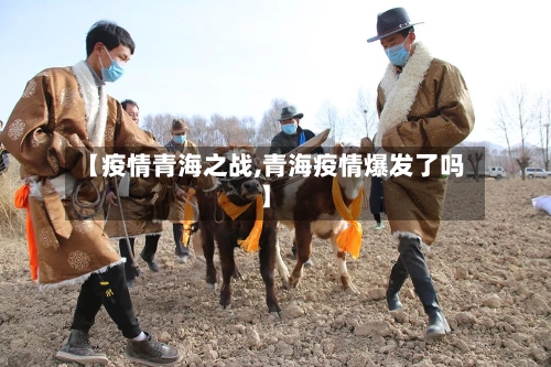 【疫情青海之战,青海疫情爆发了吗】