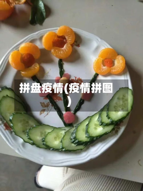 拼盘疫情(疫情拼图)