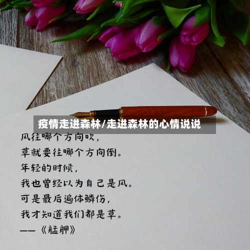 疫情走进森林/走进森林的心情说说