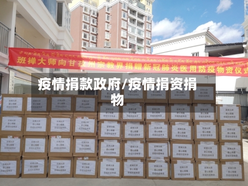 疫情捐款政府/疫情捐资捐物