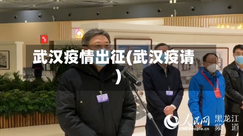 武汉疫情出征(武汉疫请)