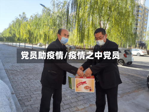党员助疫情/疫情之中党员