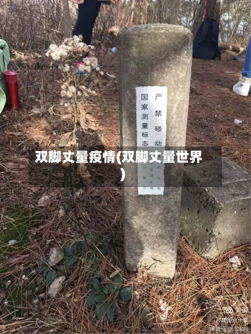 双脚丈量疫情(双脚丈量世界)