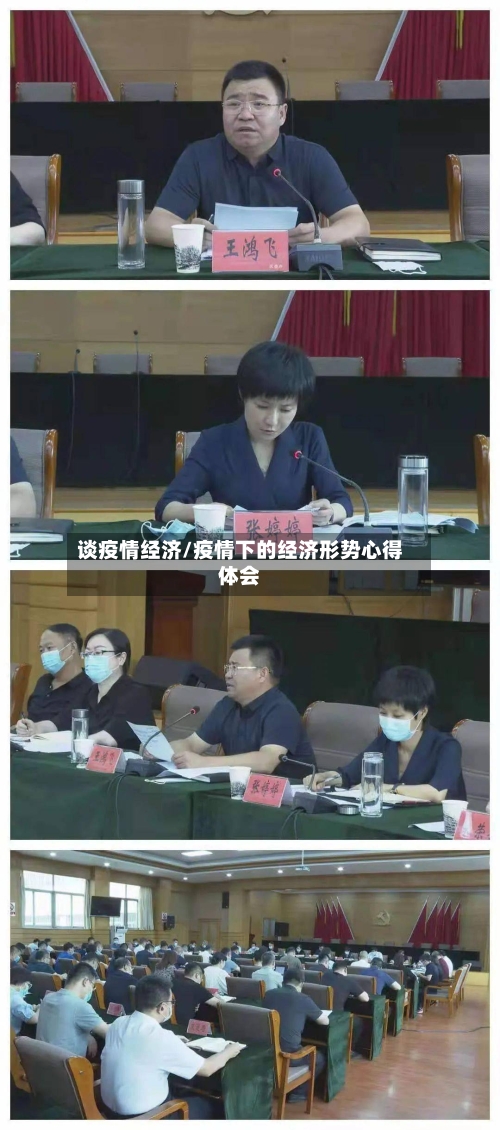 谈疫情经济/疫情下的经济形势心得体会