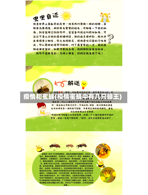 疫情和蜜蜂(疫情蜜蜂中有几只蜂王)