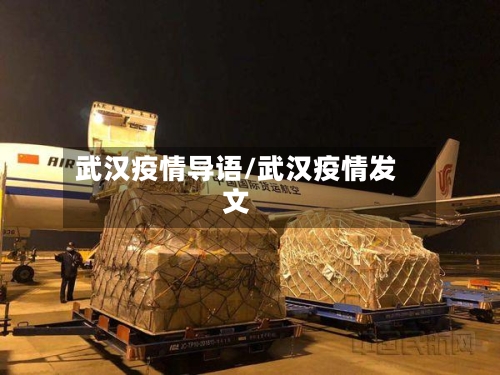 武汉疫情导语/武汉疫情发文