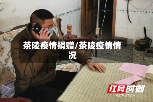 茶陵疫情捐赠/茶陵疫情情况