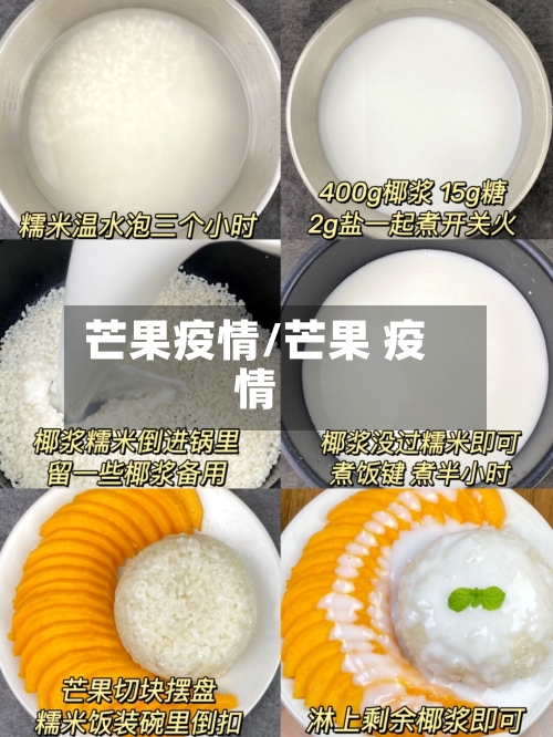 芒果疫情/芒果 疫情