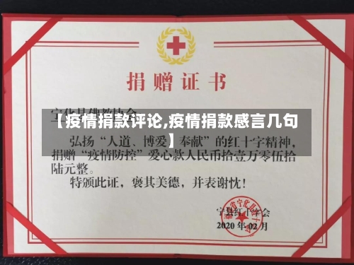 【疫情捐款评论,疫情捐款感言几句】