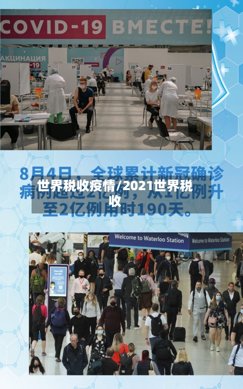 世界税收疫情/2021世界税收