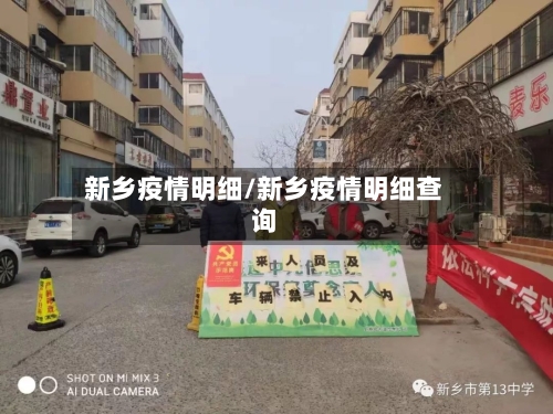 新乡疫情明细/新乡疫情明细查询