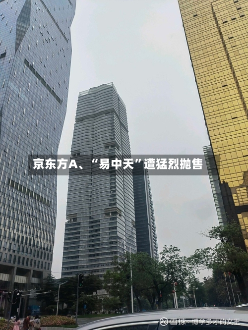 京东方A、“易中天”遭猛烈抛售