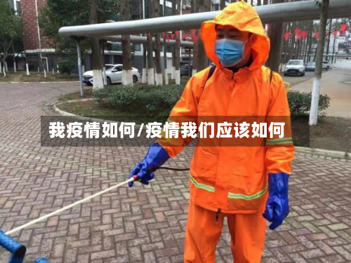 我疫情如何/疫情我们应该如何