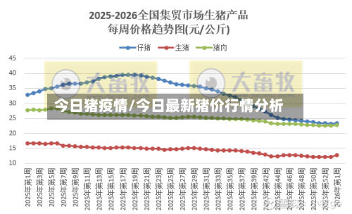 今日猪疫情/今日最新猪价行情分析