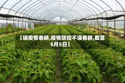 【镇疫情春耕,疫情防控不误春耕,截至5月5日】
