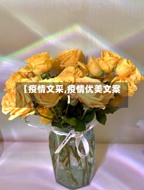 【疫情文采,疫情优美文案】