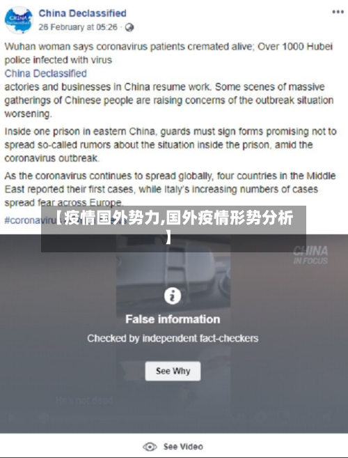 【疫情国外势力,国外疫情形势分析】