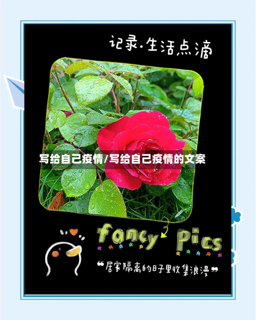 写给自己疫情/写给自己疫情的文案