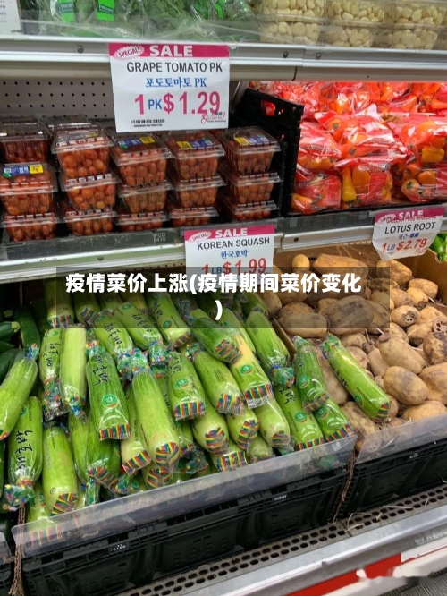 疫情菜价上涨(疫情期间菜价变化)