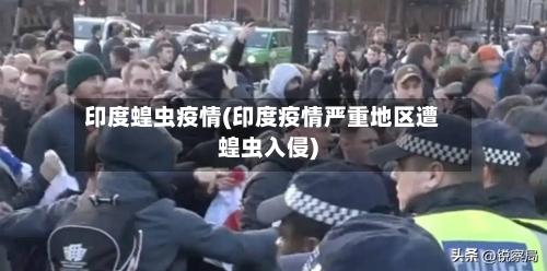 印度蝗虫疫情(印度疫情严重地区遭蝗虫入侵)