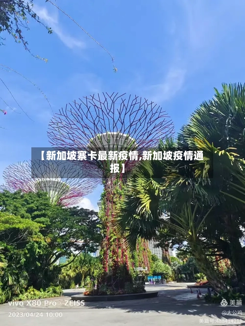 【新加坡寨卡最新疫情,新加坡疫情通报】