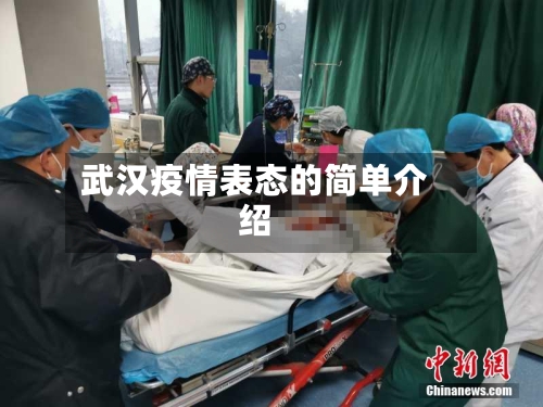 武汉疫情表态的简单介绍