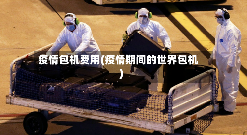 疫情包机费用(疫情期间的世界包机)